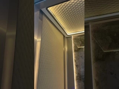 الملاحظة / المصعد السريع البانورامي متعدد النماذج للركاب